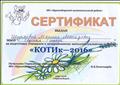 Сертификат за подготовку учащихся к межрайонному интеллектуальному турниру "Котик-2016"